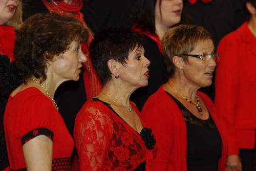 DSC01961