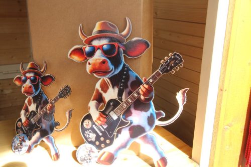 IMG 9126